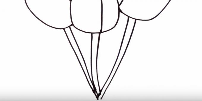 Come disegnare un tulipano: disegna i gambi