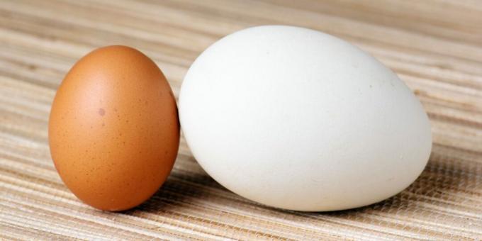 Quanto cuocere le uova d'oca