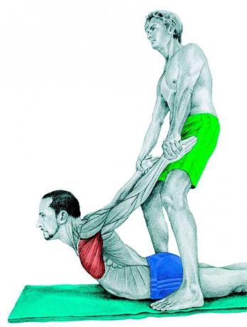 Anatomia di stretching: allungamento dei muscoli del torace