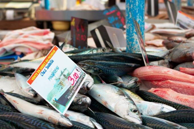 I vantaggi di una maggiore pesce che il danno di mercurio in esso contenuto