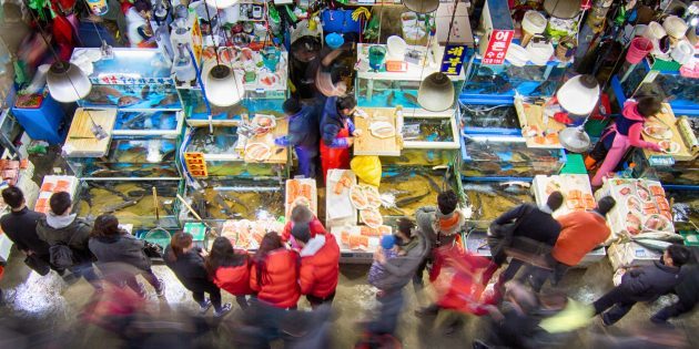 Attrazioni Corea del Sud: è necessario visitare il mercato del pesce