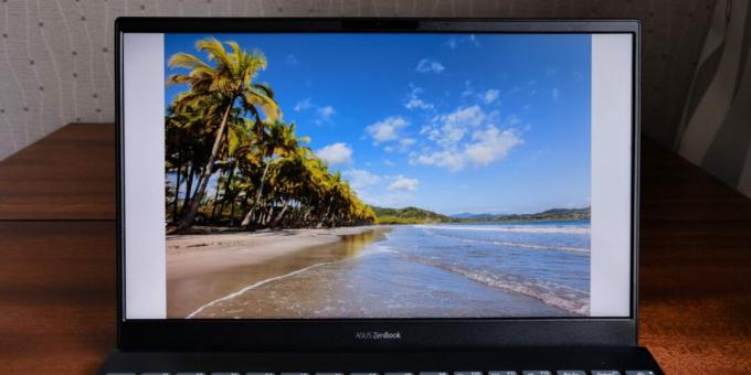 Schermo ASUS ZenBook 13 UX325
