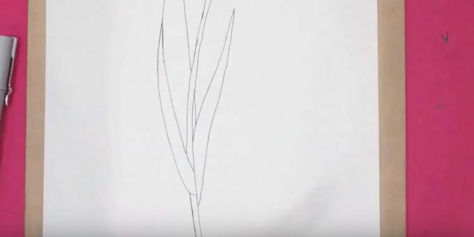 Come disegnare un tulipano: disegna la foglia giusta