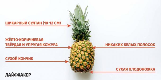 Come scegliere un ananas: segni di ananas maturo