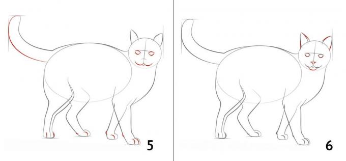 Come disegnare un gatto