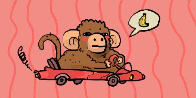 Scimmia alla guida